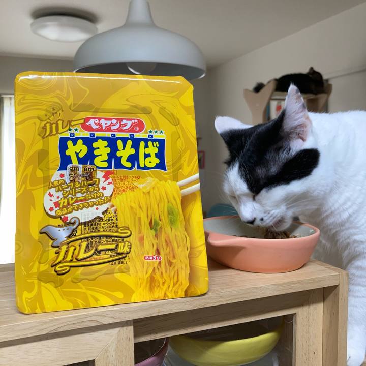 F020e3fa b165 4e8f 937e bc32d5cf7610 1757564194707