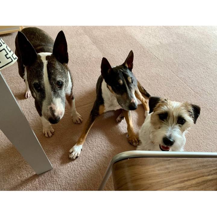 F020e49c 44af 439e 8f32 6542d6391a6d 1623639342026