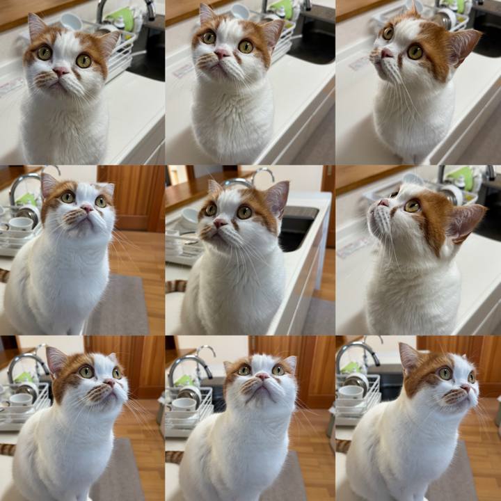 F0213125 0ab7 41a4 94b0 d4cb0a96b08e 1766460662212