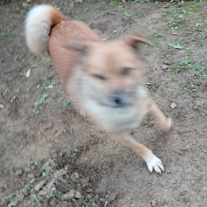 F0215fa3 5251 4b89 96e6 0fc7a5aa0b55 1580268707336