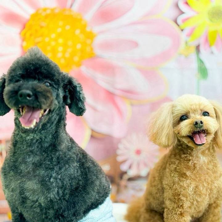 F0217d24 1478 4f88 b5e8 ff744c71088f 1748174034811