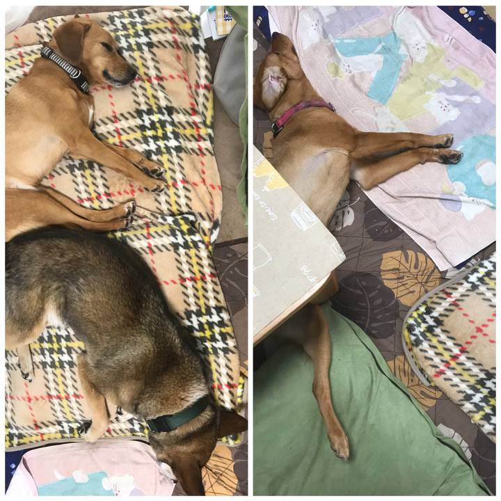 F0218294 676d 4005 835c a2d97ad8b7a2 1528200397720