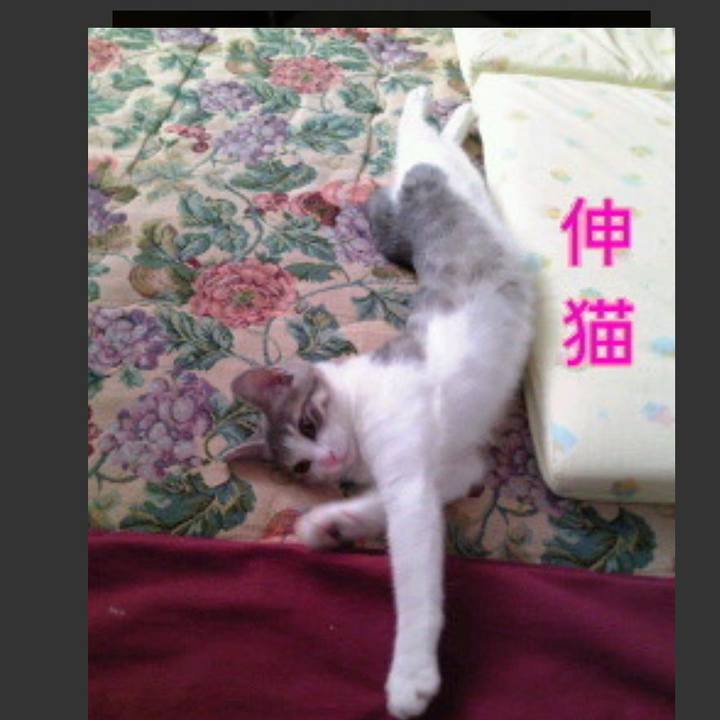 F02182d1 48aa 4069 82fa 84ad6ac60f5b 1550542416703