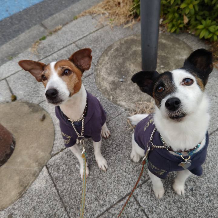 F021a90e 269b 40fa 9116 7501890d3ae1 1740693807689