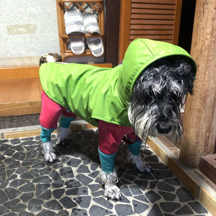 F021e04f ab49 4a3d 9185 6acfbc1b18ac 1695354974866