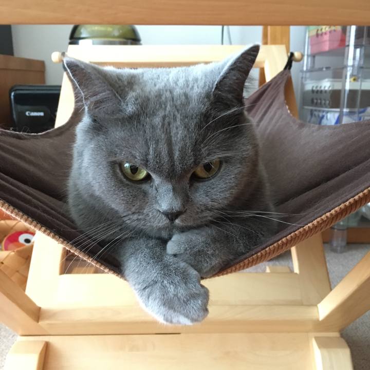 F021fc41 25d5 4b23 836d 699f544e4ccd 1508581496453