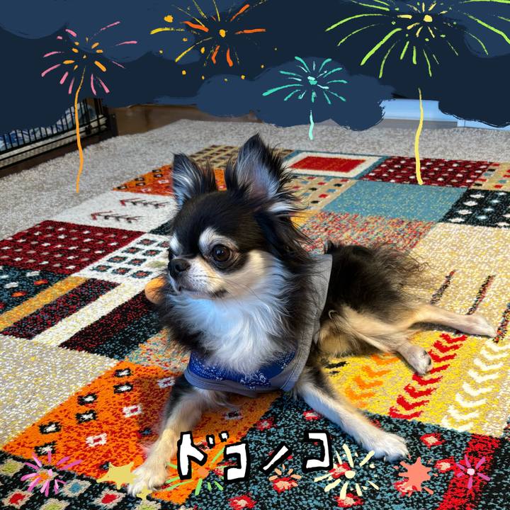 F0220d1e 4e4c 471b 8ad1 859615cce525 1723305309417