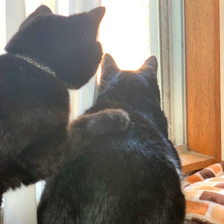 F0222506 c11f 4b40 974f e95957d32e2f 1588234975669