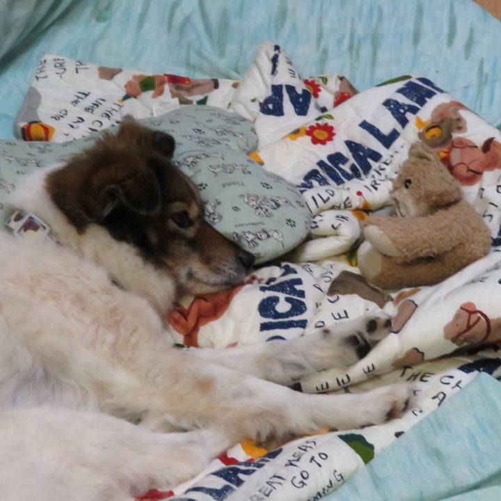 F0222550 f884 4a3e 9ae8 69134db0660d 1549974645091