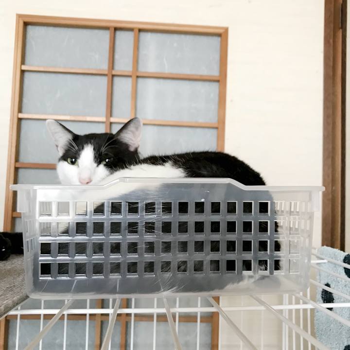 F0222752 38f9 405f b7b7 cd849974ea09 1536369186341