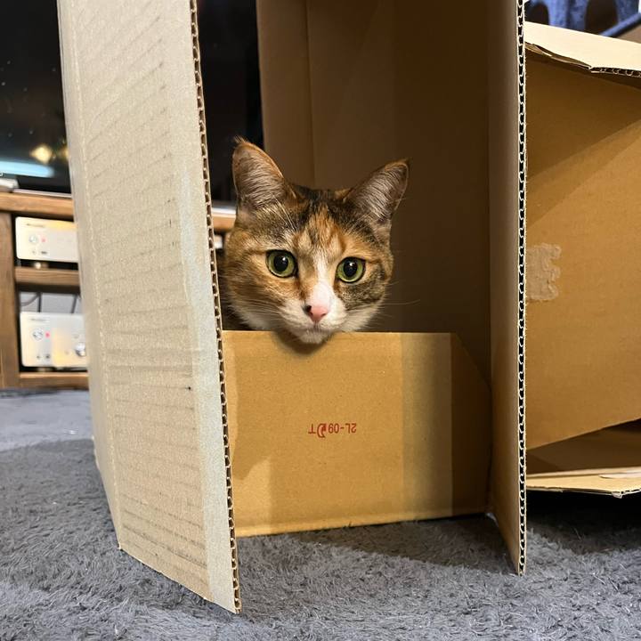 F02245e7 e36f 4680 a8ec aca2b85b2a64 1679103611396