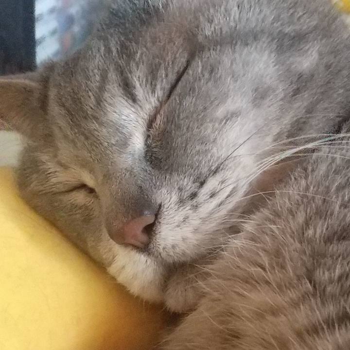 F0226b1d 254f 48ff 9f54 427ec33ffaab 1687566854824