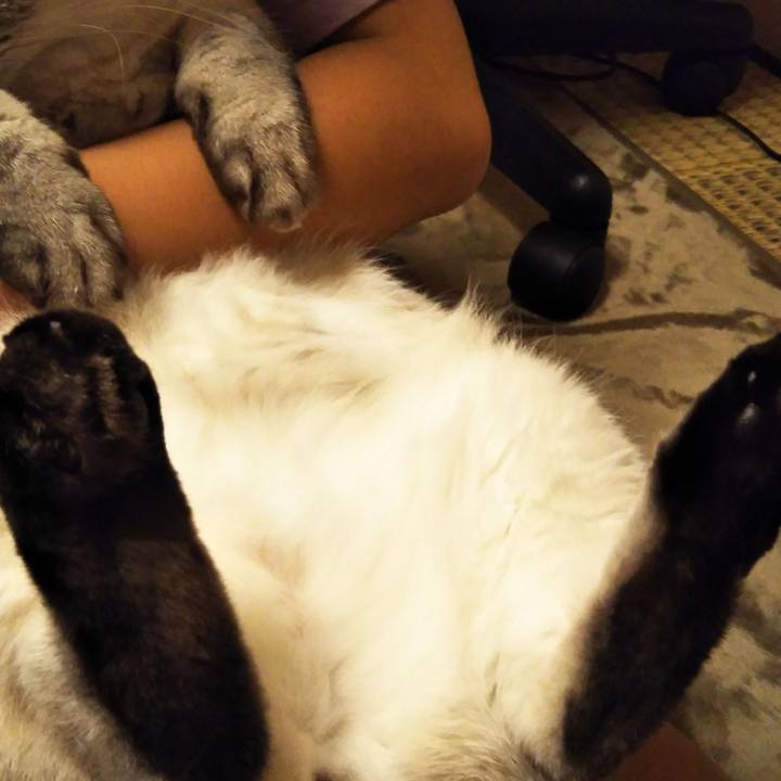 F022736a 28f8 4e44 9216 cbb611962d62 1560690593712