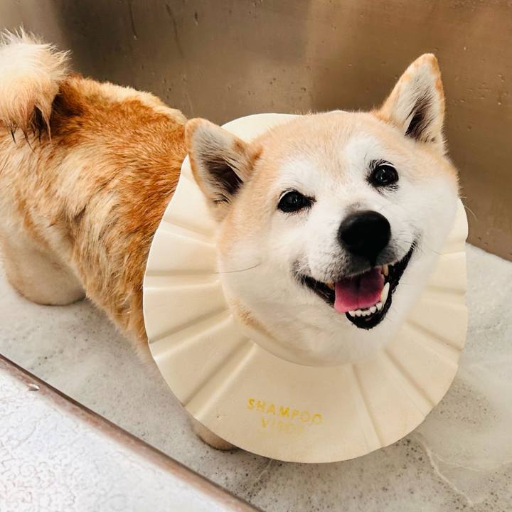 F022abab 2d97 4d1d b718 2b61370a455a 1740643591643