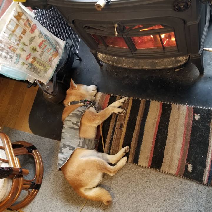 F022e3ae 20df 4986 9d21 36be91cd7189 1614381871791