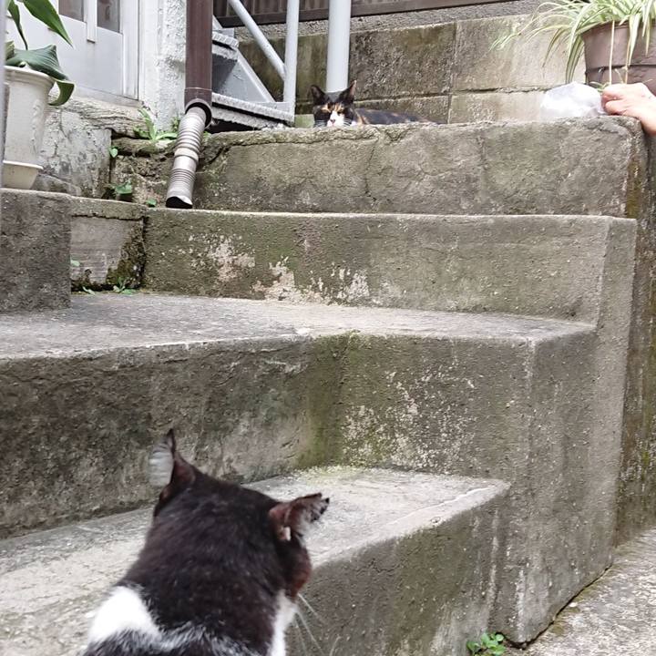 F02305dd 189a 46a0 96ac 82ce61be47f7 1691726057071