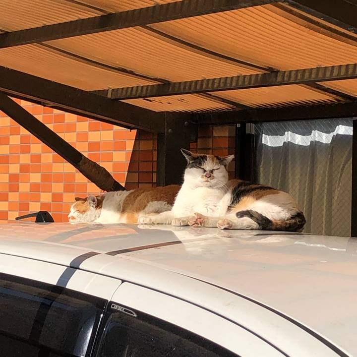 F0230b11 535e 4ab0 8e18 19d2bbb7558a 1614437948126