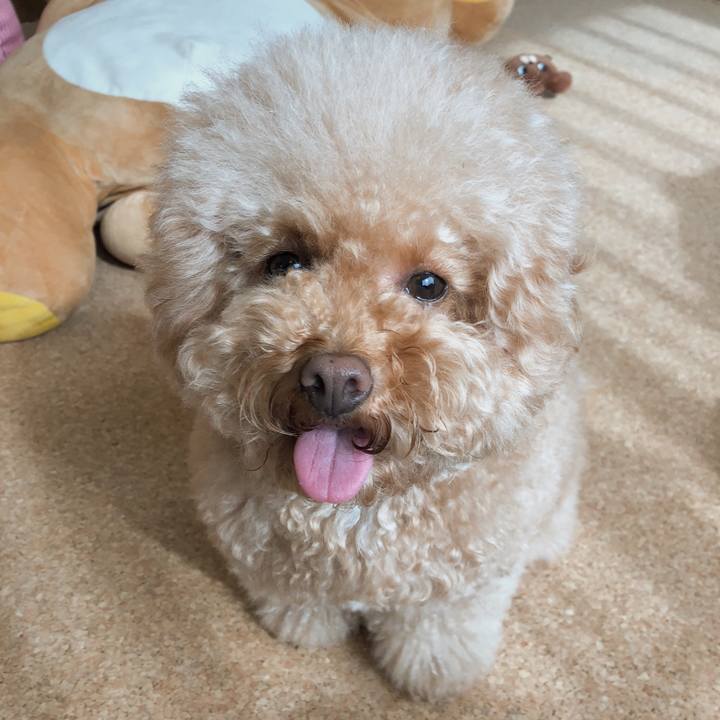 F0235fa7 92b0 4d9d b5a7 2489fc54ee0c 1510027329622