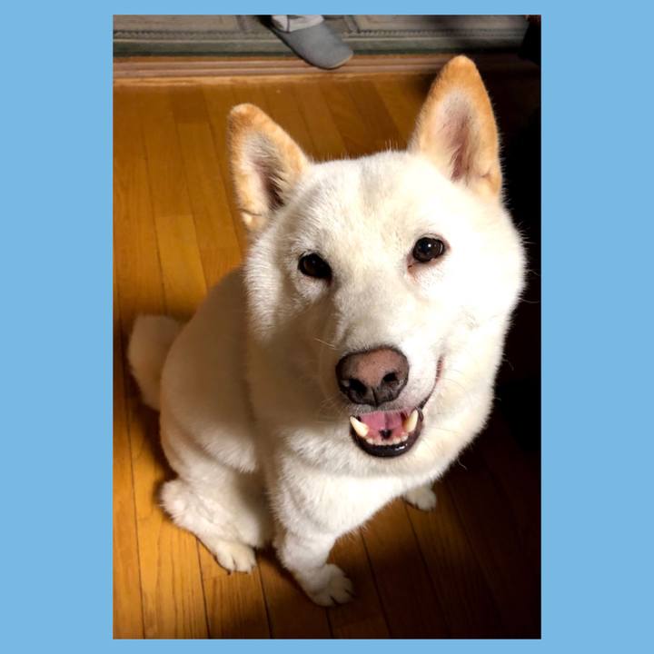 F0236151 2047 41ed a617 7f8d18a15512 1599164679415