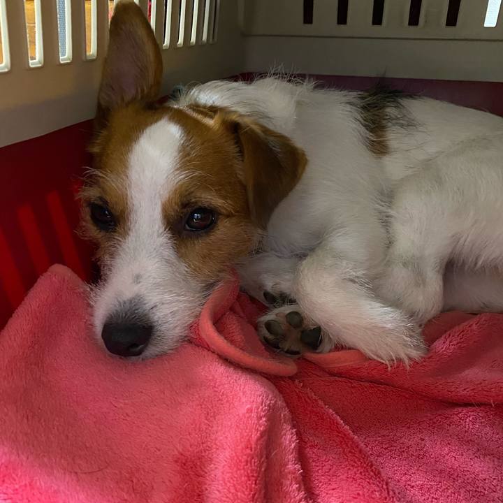 F02379fa 5ac2 43b2 9de1 17321ec37db8 1720015315433