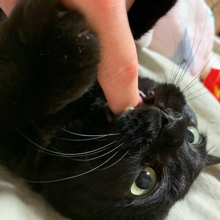 F023853e 1070 4f64 96fe f13c9c5d0af7 1582975480873