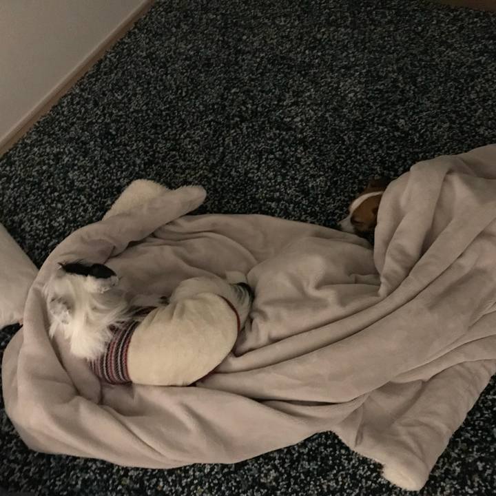 F0239703 a5e7 4d6e 9397 52bf59b88f5c 1517320289730