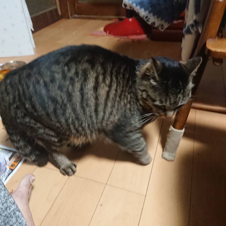 F023b558 0945 42d5 9659 39257008097d 1647444531876