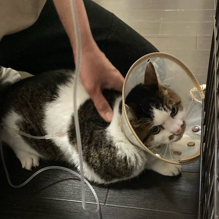 F023bc46 651a 48cd 9511 4f12cf70183d 1641972842364