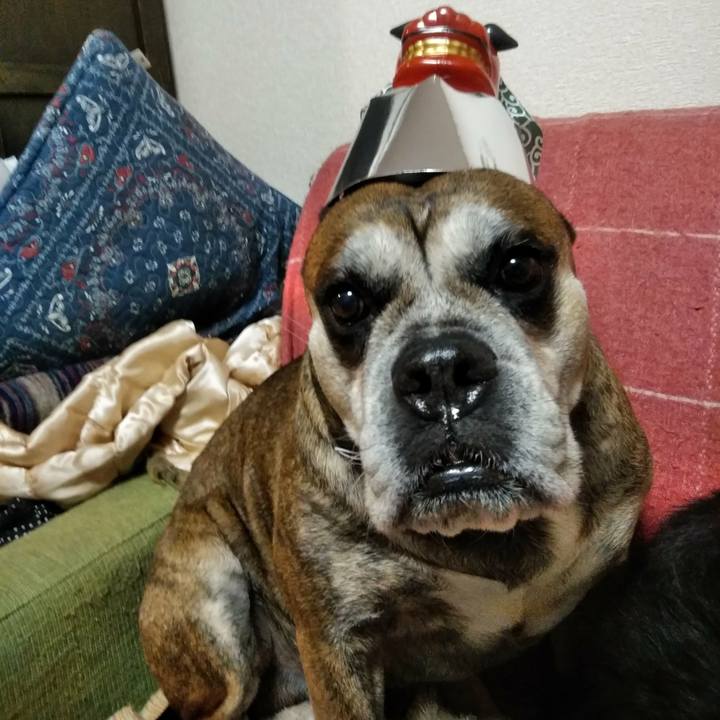 F023c406 fd8b 4e5f ae30 3f16d5c3024c 1514376962239