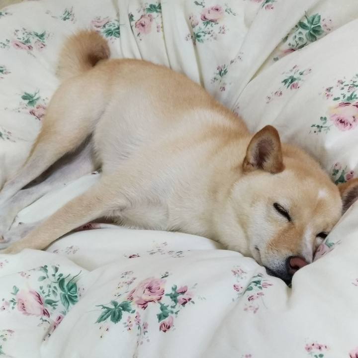 F023d6ce 5638 4b1c 8449 4b265449bb0a 1572004831884