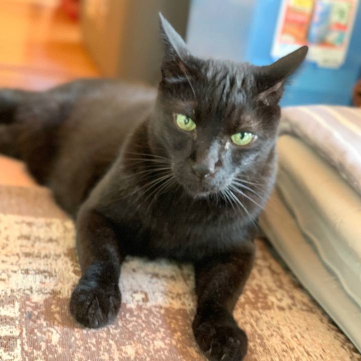 F023f32e 8f0c 47d6 9cc5 dc259c4c1109 1599525939006