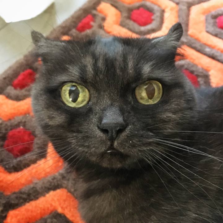 F023f8a5 93f3 496a 8558 226349a028ca 1586586997663