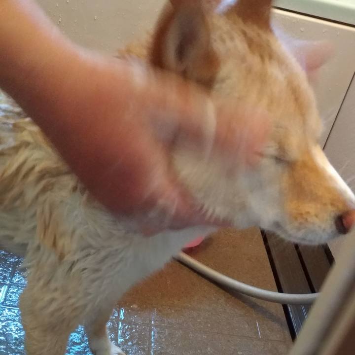 F0240060 345f 40a4 8a30 07a5762efa05 1587779585242