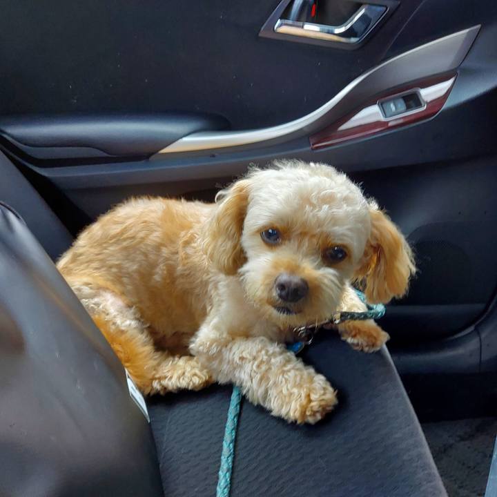 F0248b89 6012 4c39 9370 21783a332ad4 1628937457692