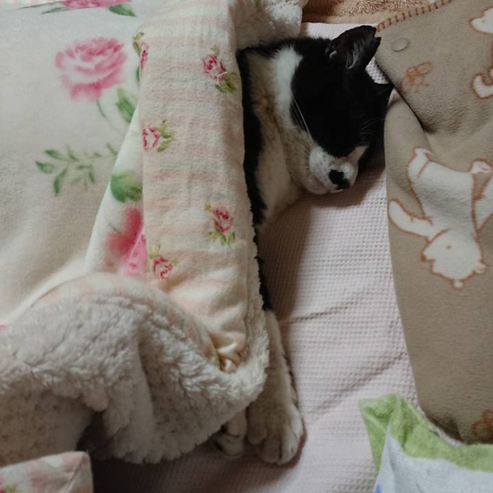 F024a51a e138 4640 a04d ff0eeaa8e960 1560223841551