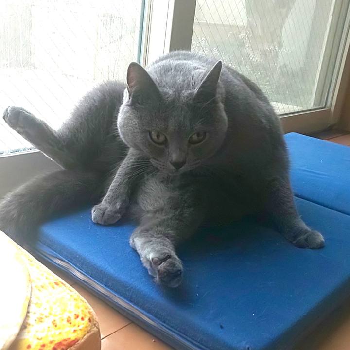 F0251886 185c 407a 9073 932afc717896 1571974633462