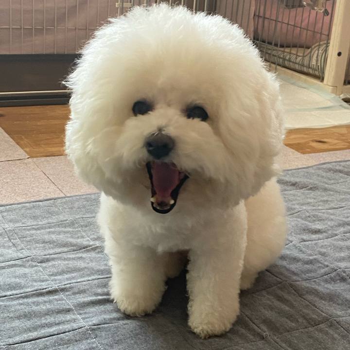 F0251e80 006e 41ab 843f fe34bb4fe17c 1616993178234