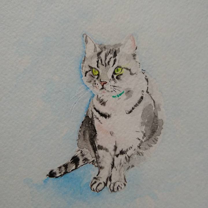 F0252737 982e 4035 807d 4877ca18508f 1560069461045