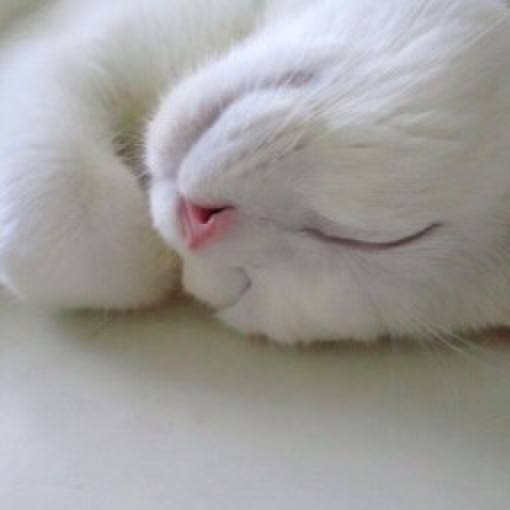 F025966b da6d 4172 ac90 bfcc0f001722 1509838622891