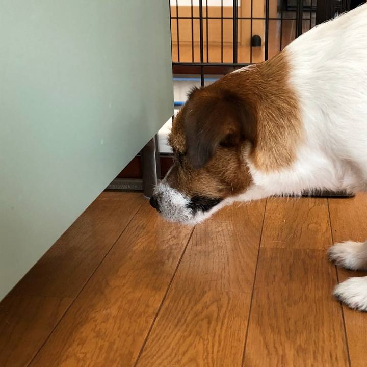 F025c392 5771 4f28 afd0 e523d06cd66b 1518701696523