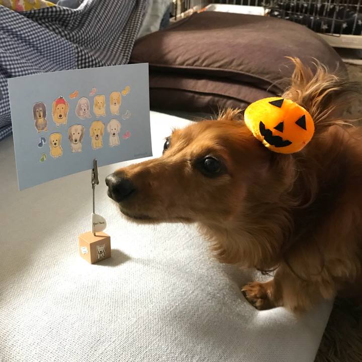 F0260faa c7cd 474c b8e4 eac0109e39a9 1540036927437