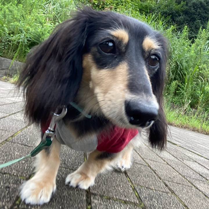 F0263610 db60 4152 9e89 4580d197864e 1724895173950