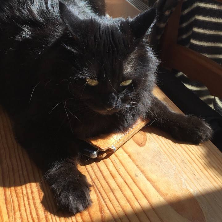 F0264667 0404 4a56 99a0 f7c51385640d 1521607039931