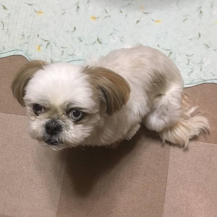 F02651ac 9101 45ef bfe9 c877404bb15c 1524223243372