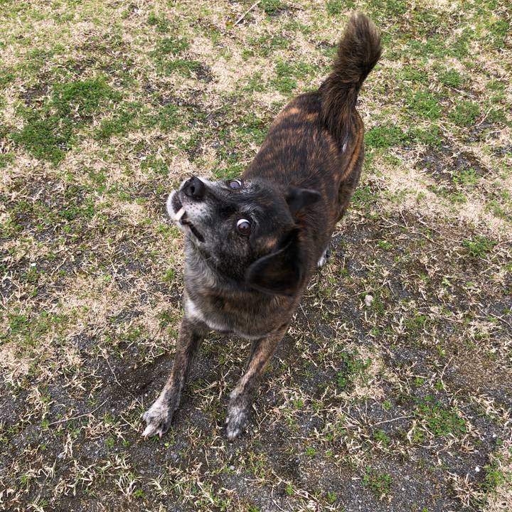 F026561d 31fc 4137 97e9 bb7cb5d515d0 1615259924563