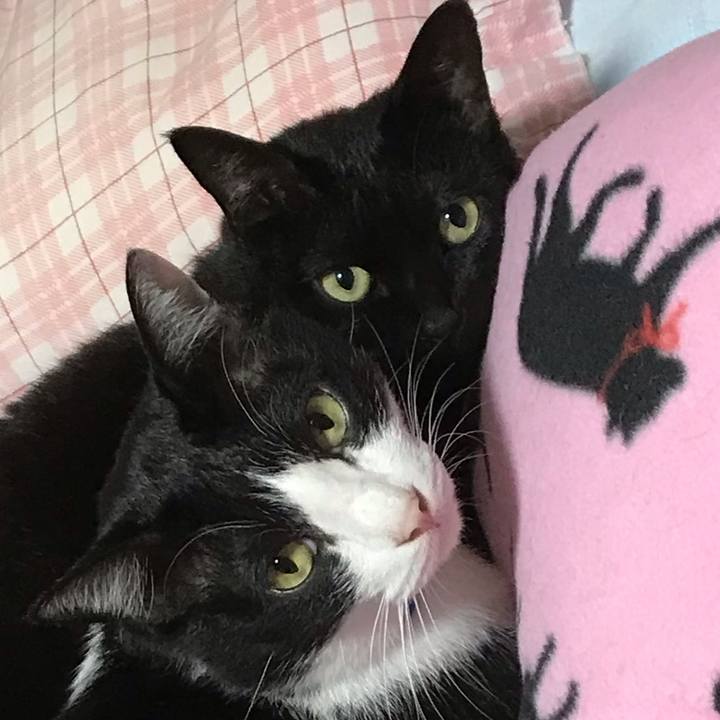 F0265f52 f123 4929 b00a d19e7c661aa2 1540375441010