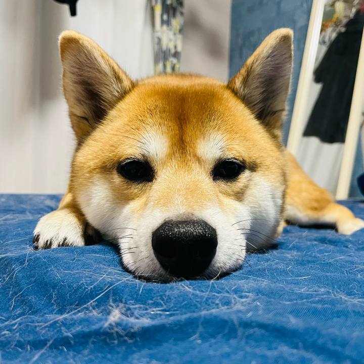 F0266462 5819 4e39 bdc9 d97de40461df 1730899173895