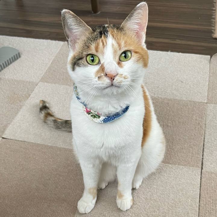 F02667fe 601d 4b46 9bdd 34701c59512d 1715729750654