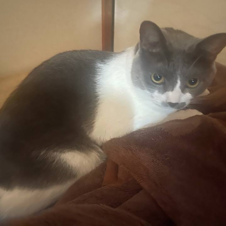 F026fa9a db3c 4a4e b824 b8281ecb2c86 1634167113949