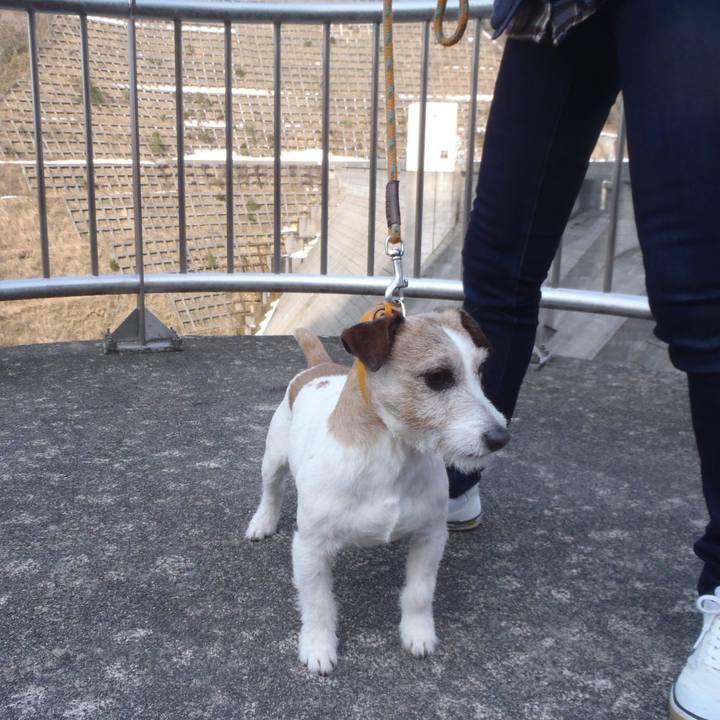 F0270b1c eb82 4ef3 9555 434dcd8bb099 1521082373513